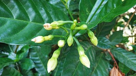 《天国：拯救2》发售两周 销量超过200万套