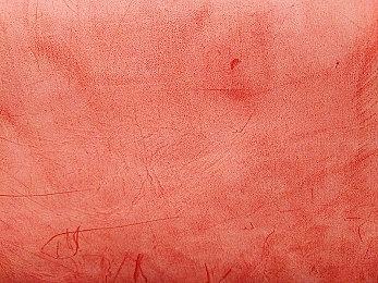 马斯克沉迷《暗黑4》 组队通关齐尔屠宰场25层